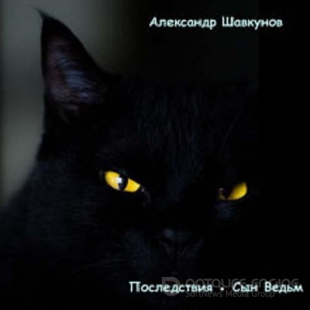 Александр Шавкунов - Бастард 7: Последствия. Сын Ведьм (2023) MP3